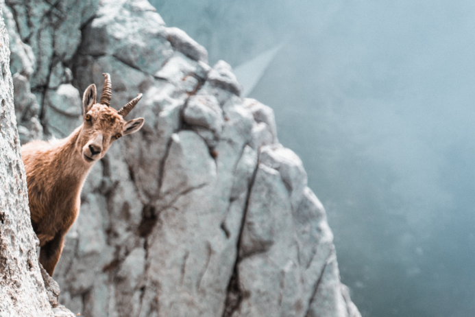 How Resilience and Relaxation improve your Quality of Life