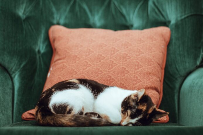 Sleeping Issues in Advanced Age
